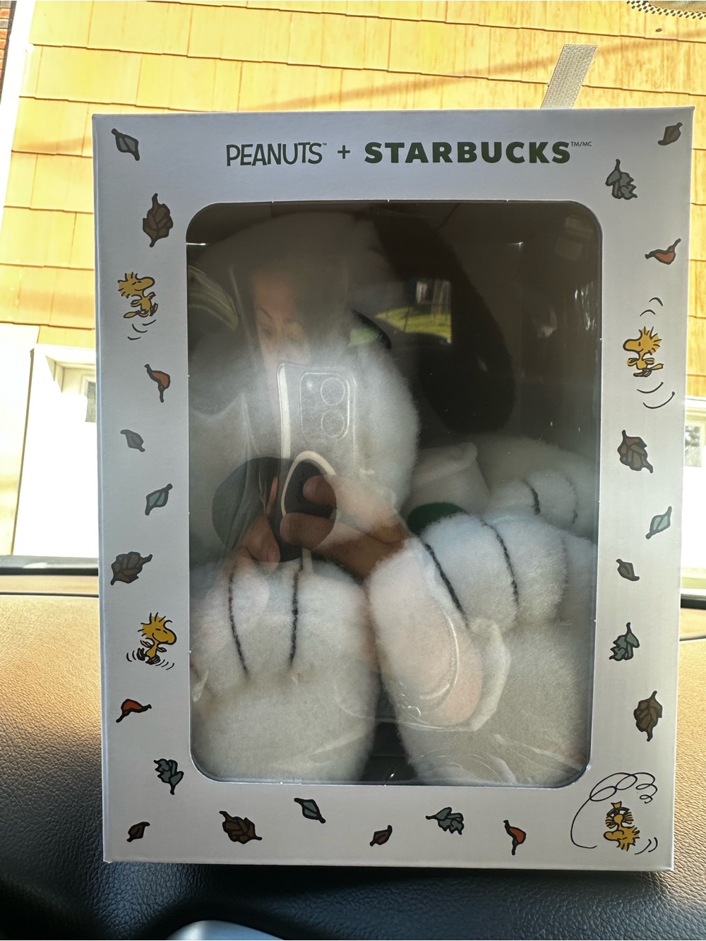 Starbucks White Snoopy Plush with Green Collar - Peanuts x Starbucks